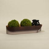 Fiona Smokey Brown Resin Bowl and Tray